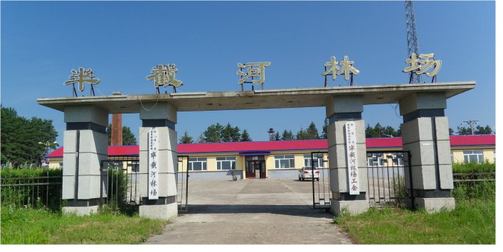 半截河林场